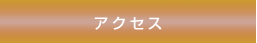 �A�N�Z�X